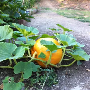 Ilgiardinoincantato Grizzana